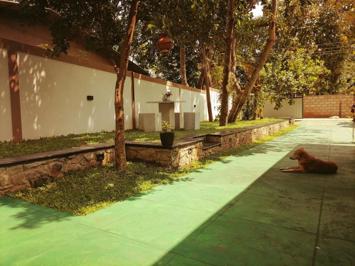 Ceylonima Home Stay Anuradhapura Luaran gambar