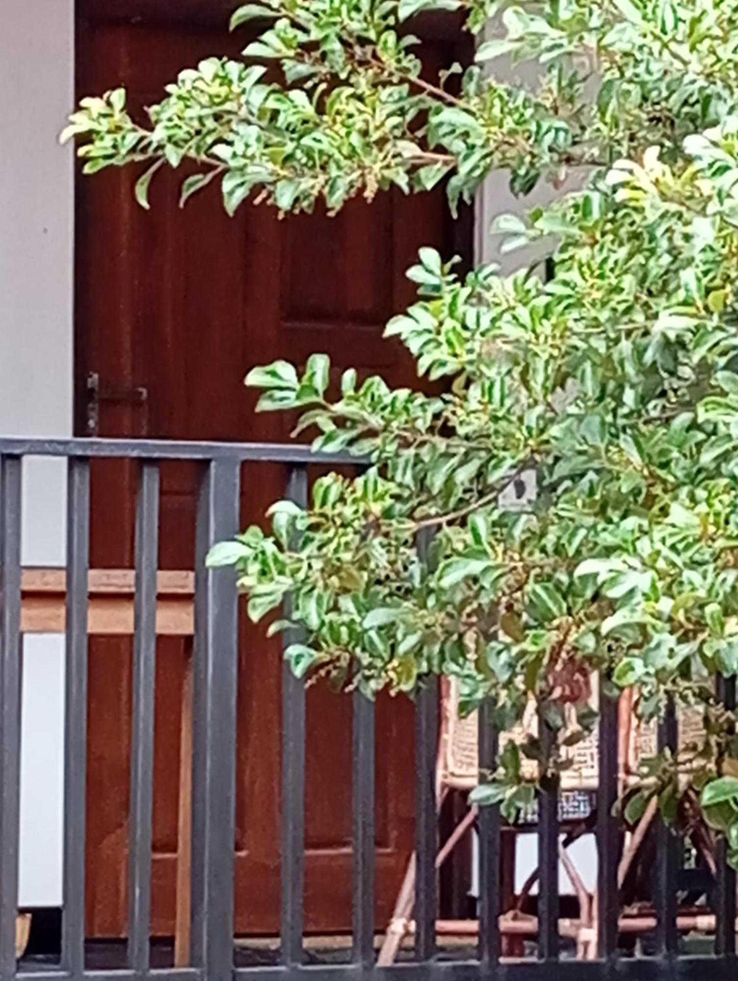 Ceylonima Home Stay Anuradhapura Bilik gambar